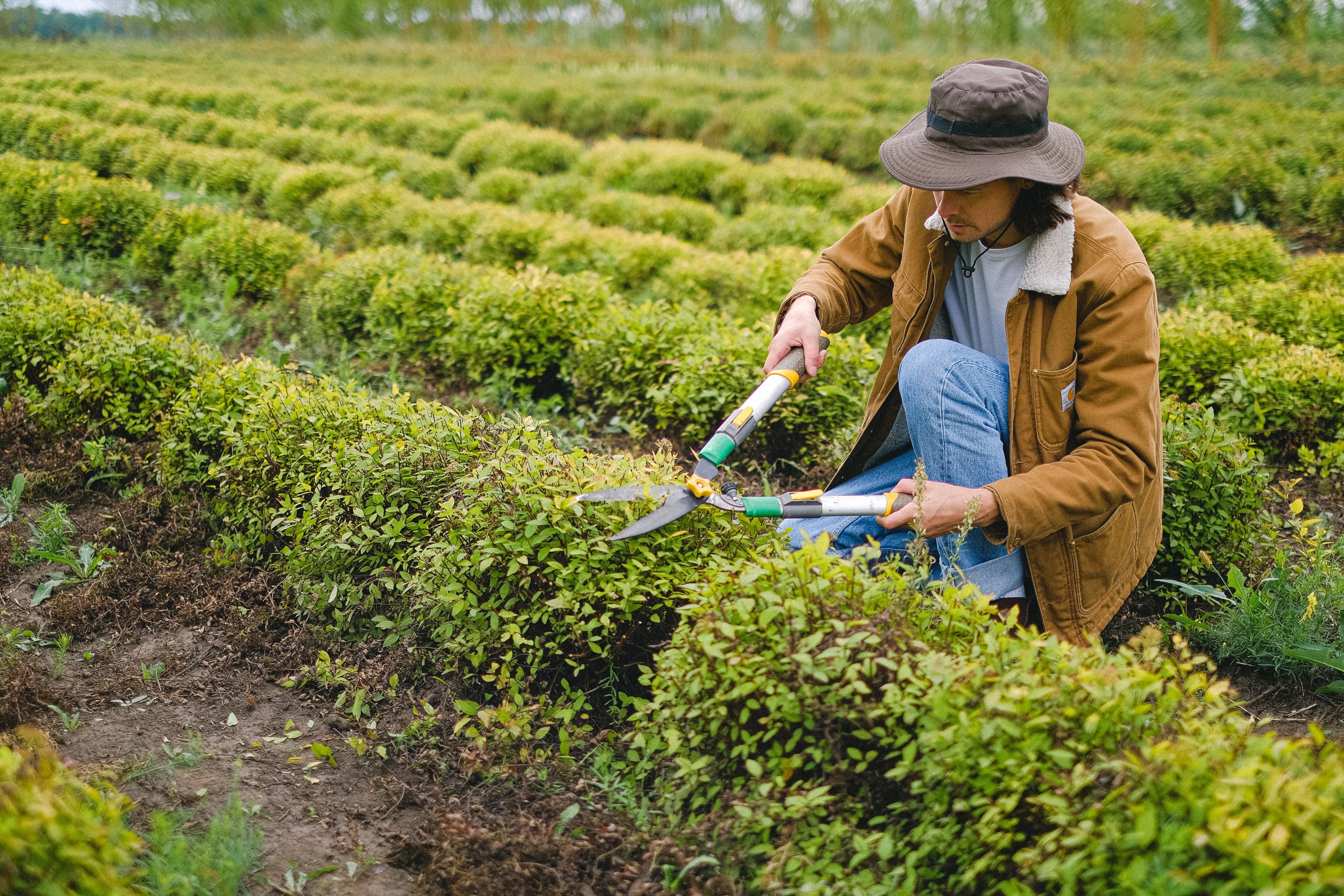 Landscape Services

• Mulch installation
• Bush trimming & shaping
• Small landscape refreshes
• Bed clean‑outs
